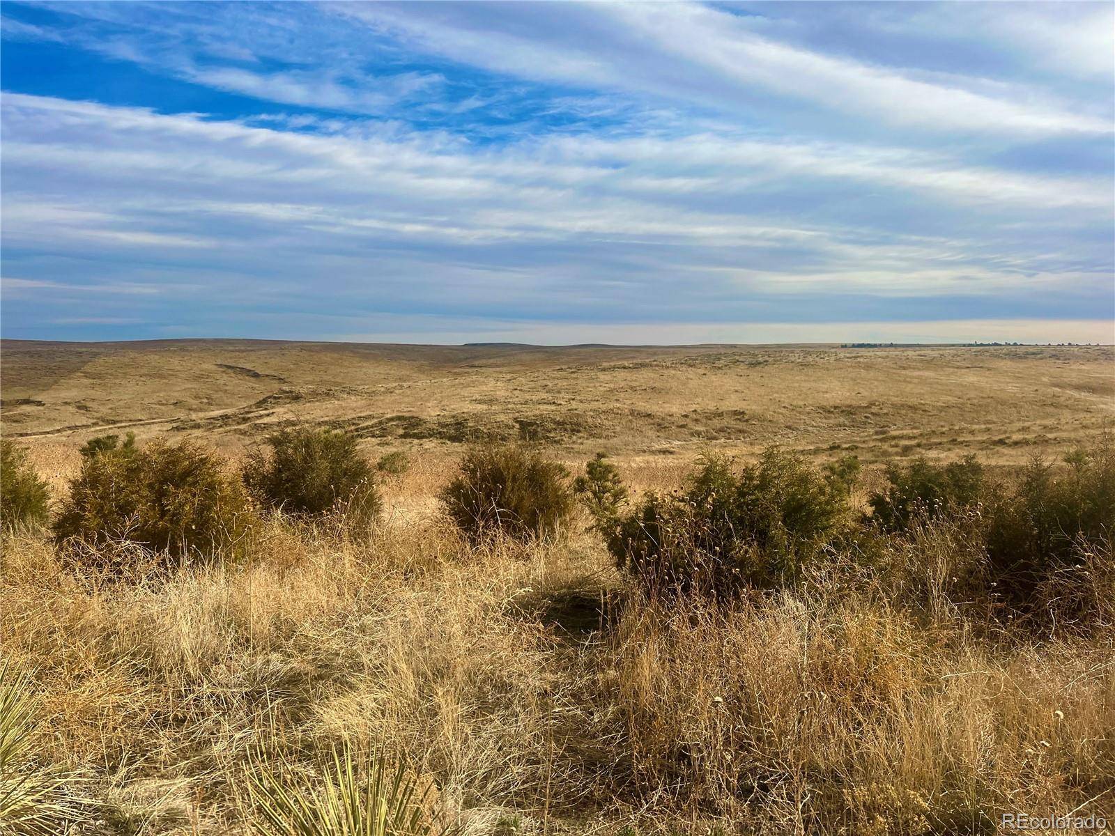 Deer Trail, CO 80105,41584 Way Of Patience