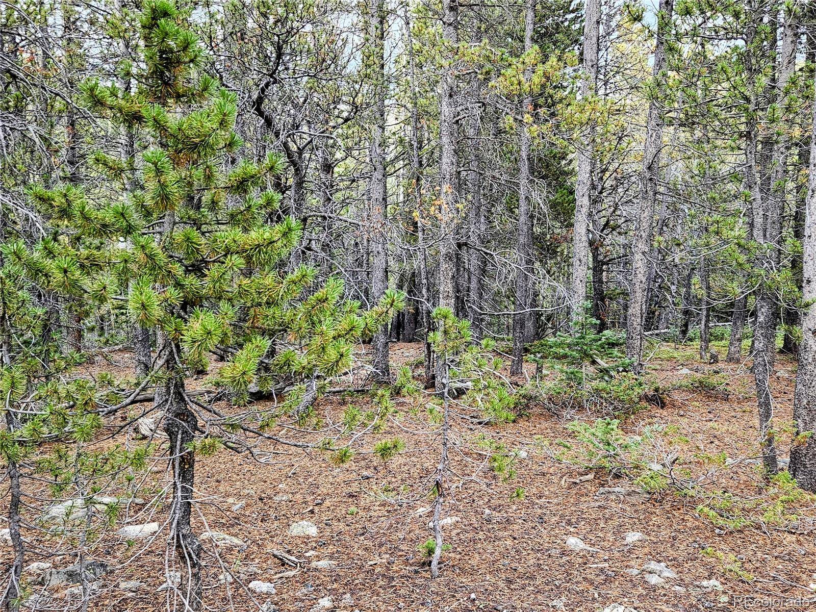 Idaho Springs, CO 80452,Lot 278 Lower Forest Rd