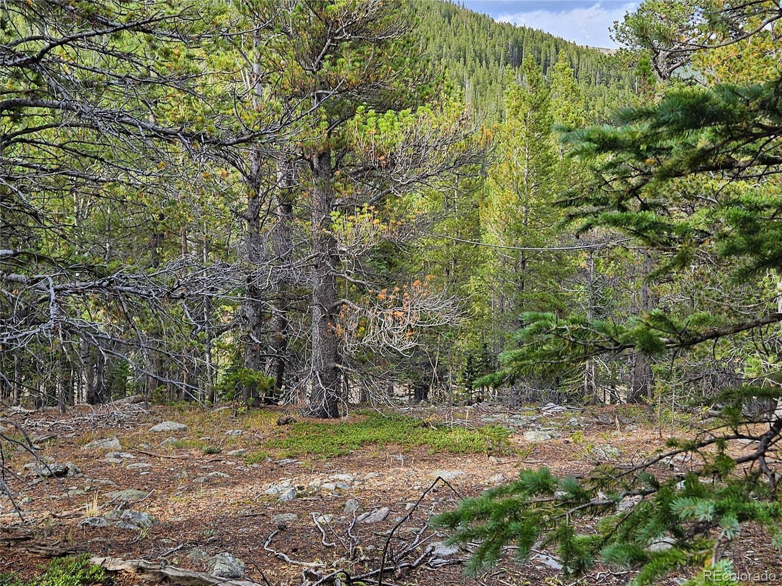 Idaho Springs, CO 80452,Lot 278 Lower Forest Rd