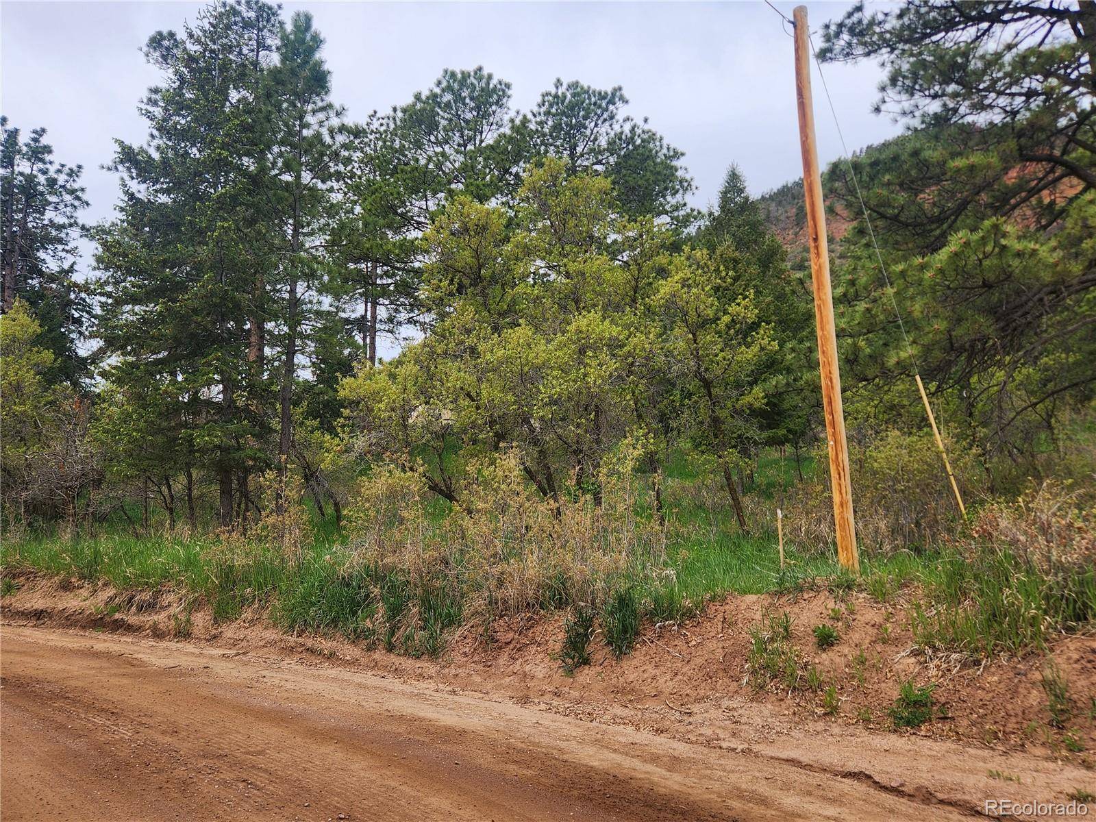Palmer Lake, CO 80133,Virginia AVE