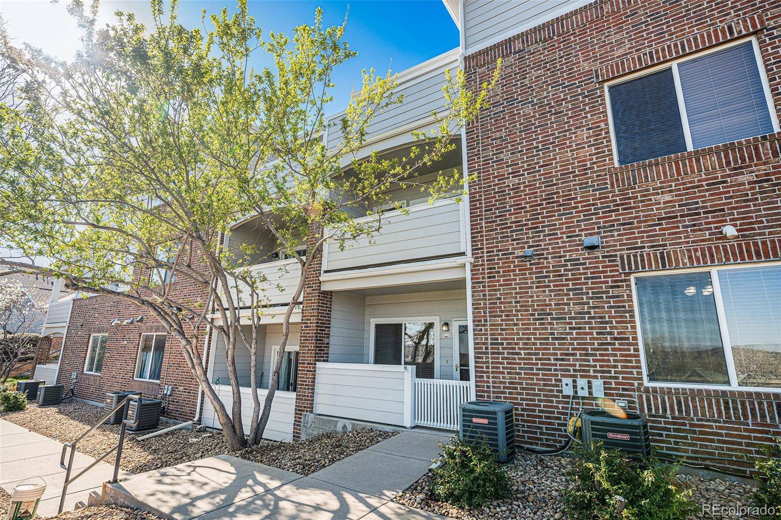 Arvada, CO 80002,10149 W 55th DR #3