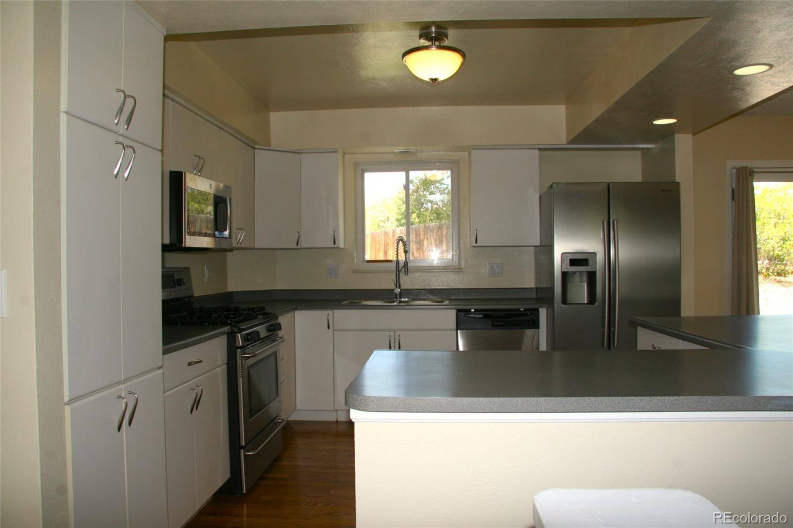 Castle Rock, CO 80104,1008 Park View CT