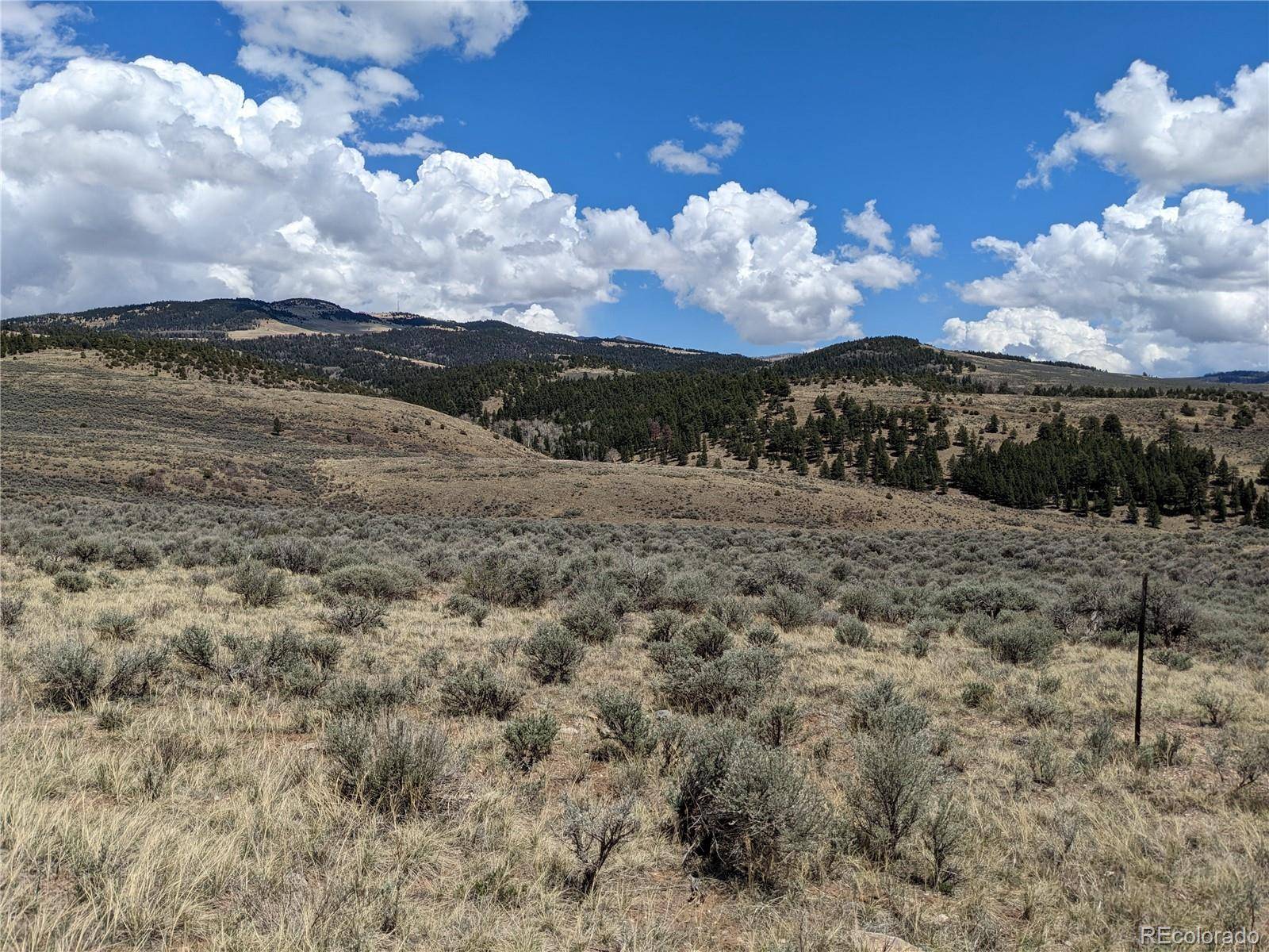 Fort Garland, CO 81133,116 Lautenburg DR