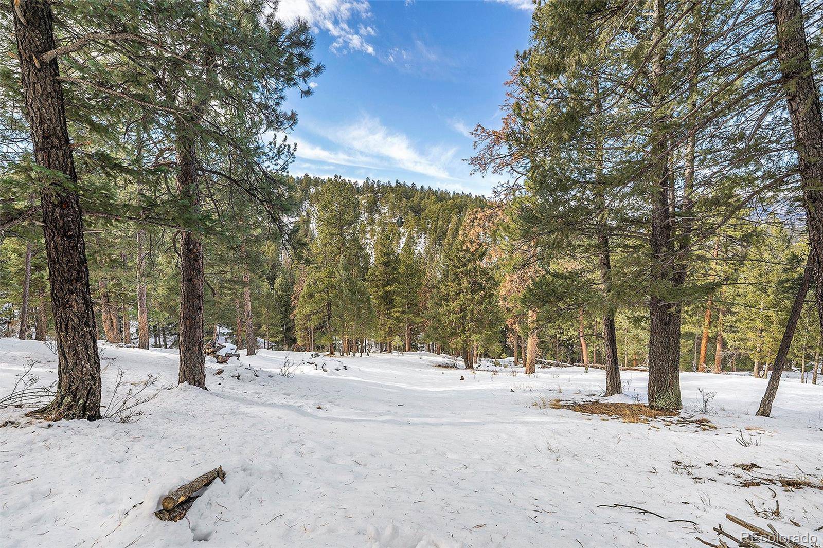 Evergreen, CO 80439,0 Bannock LN