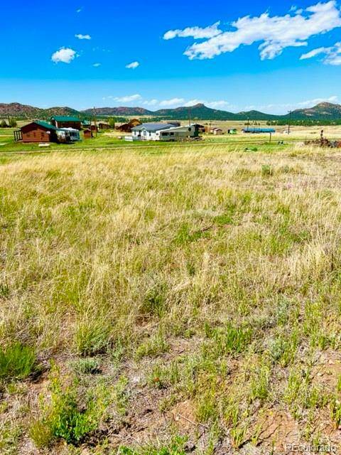 Westcliffe, CO 81252,45 Custer LN