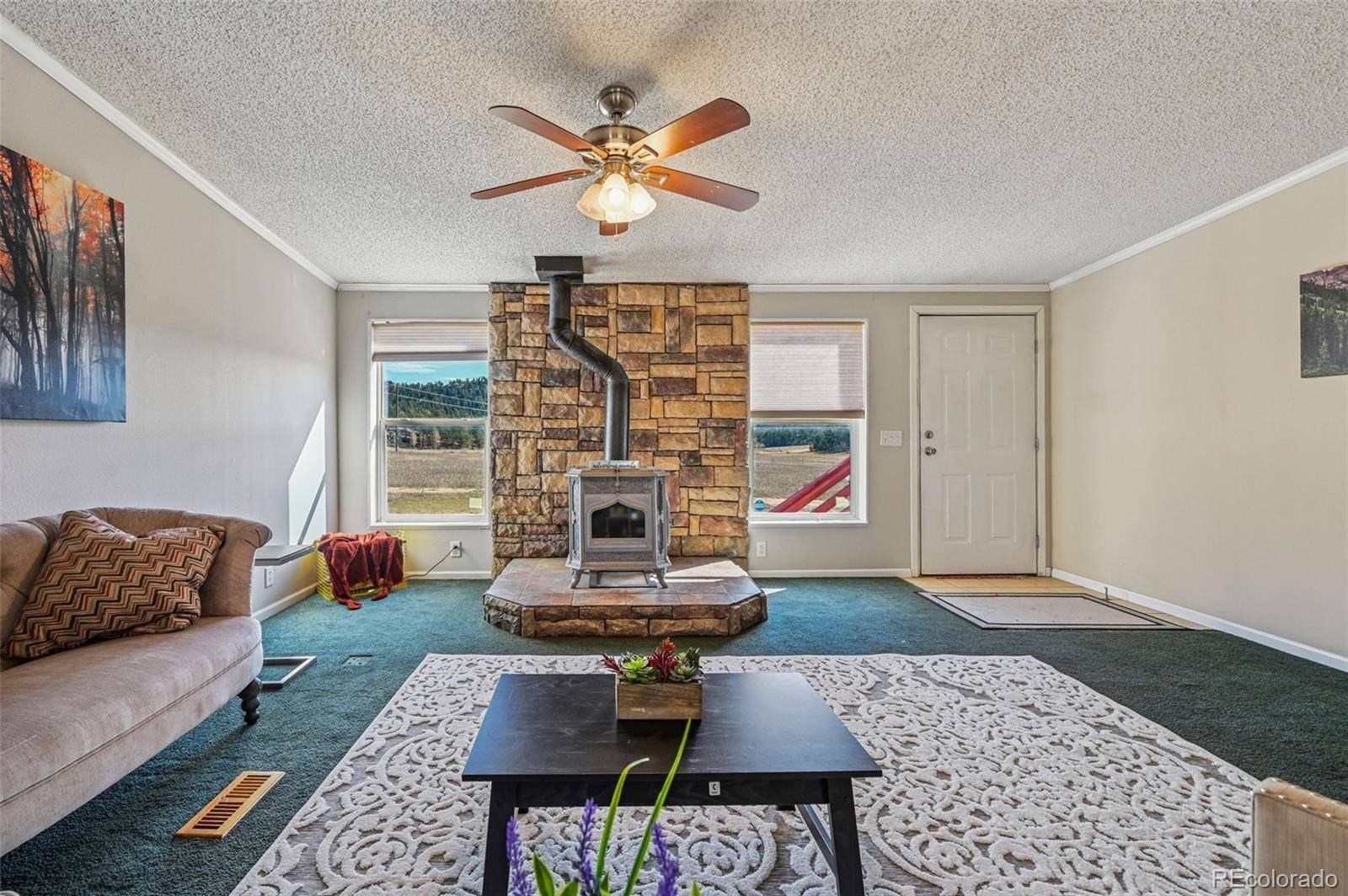 Florissant, CO 80816,966 County Road 411