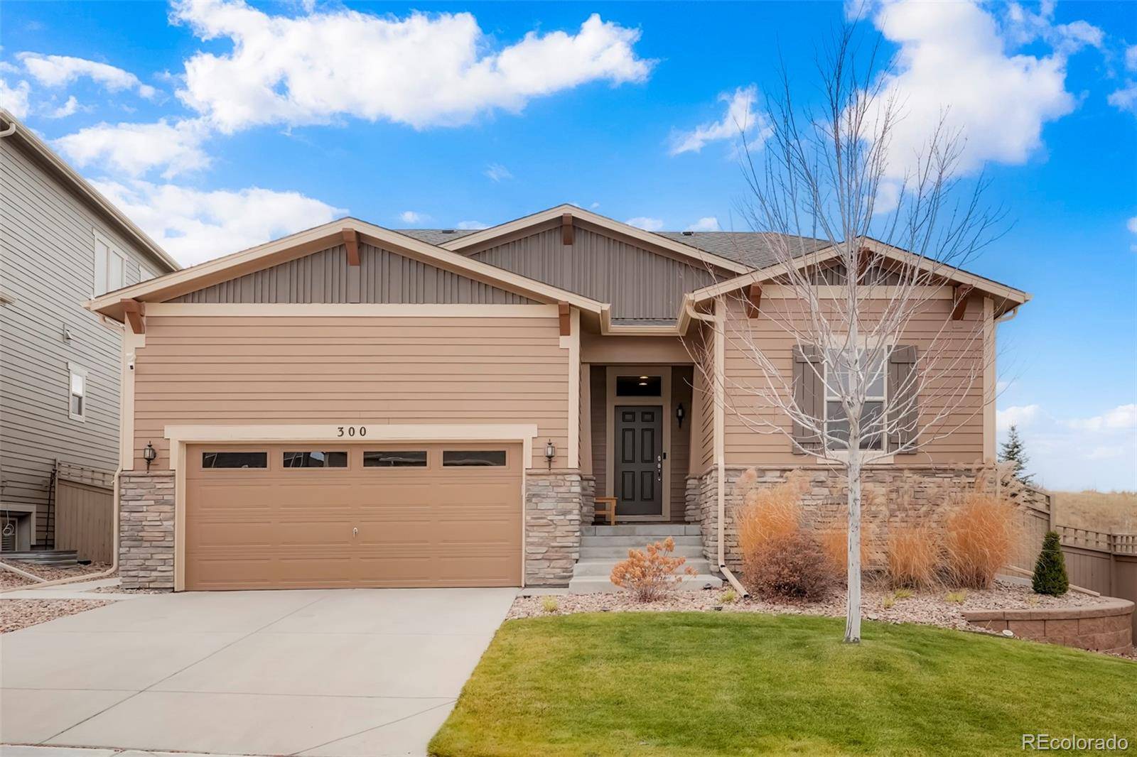 Castle Rock, CO 80104,300 Portmeirion LN