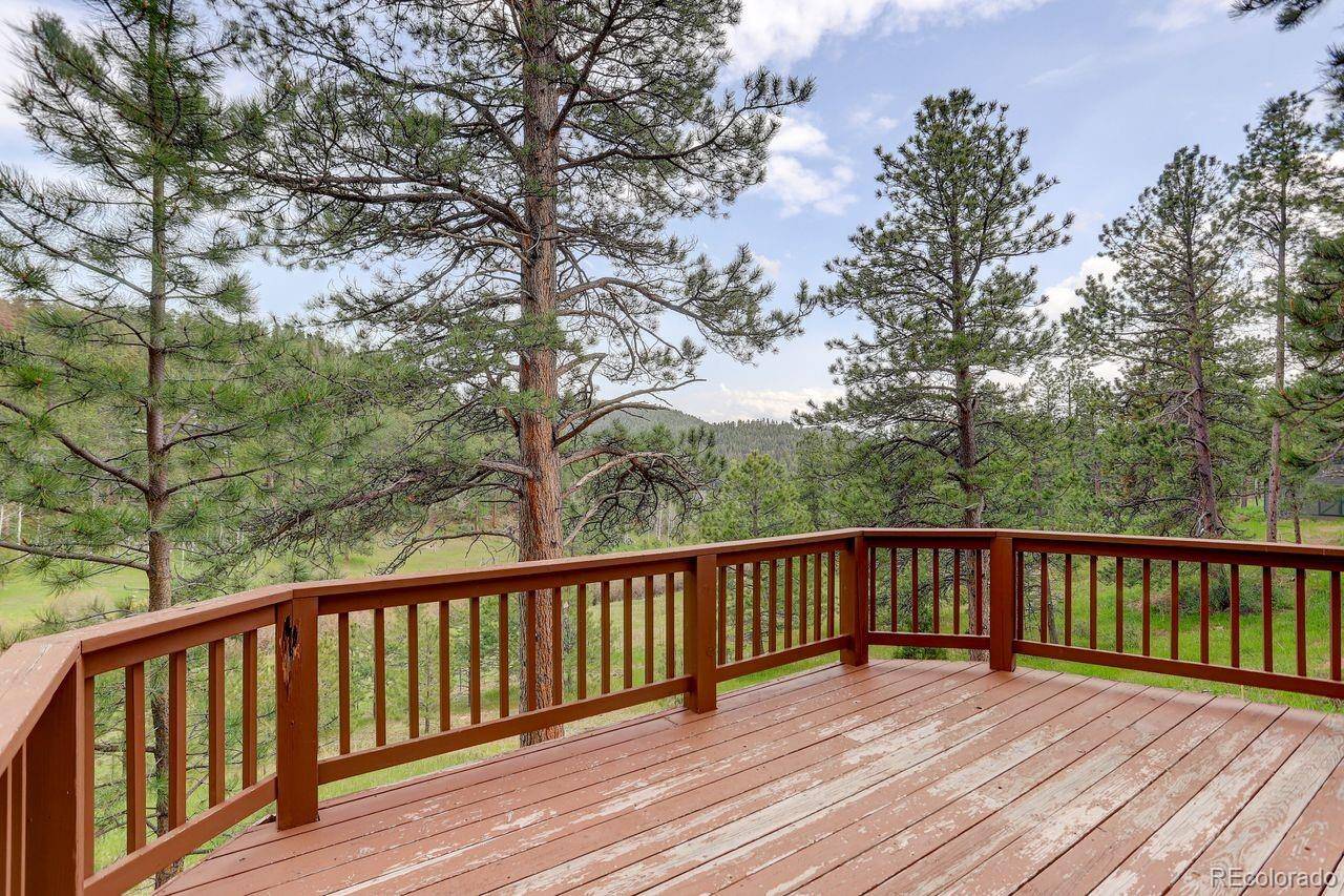 Conifer, CO 80433,13190 Coyote Song TRL