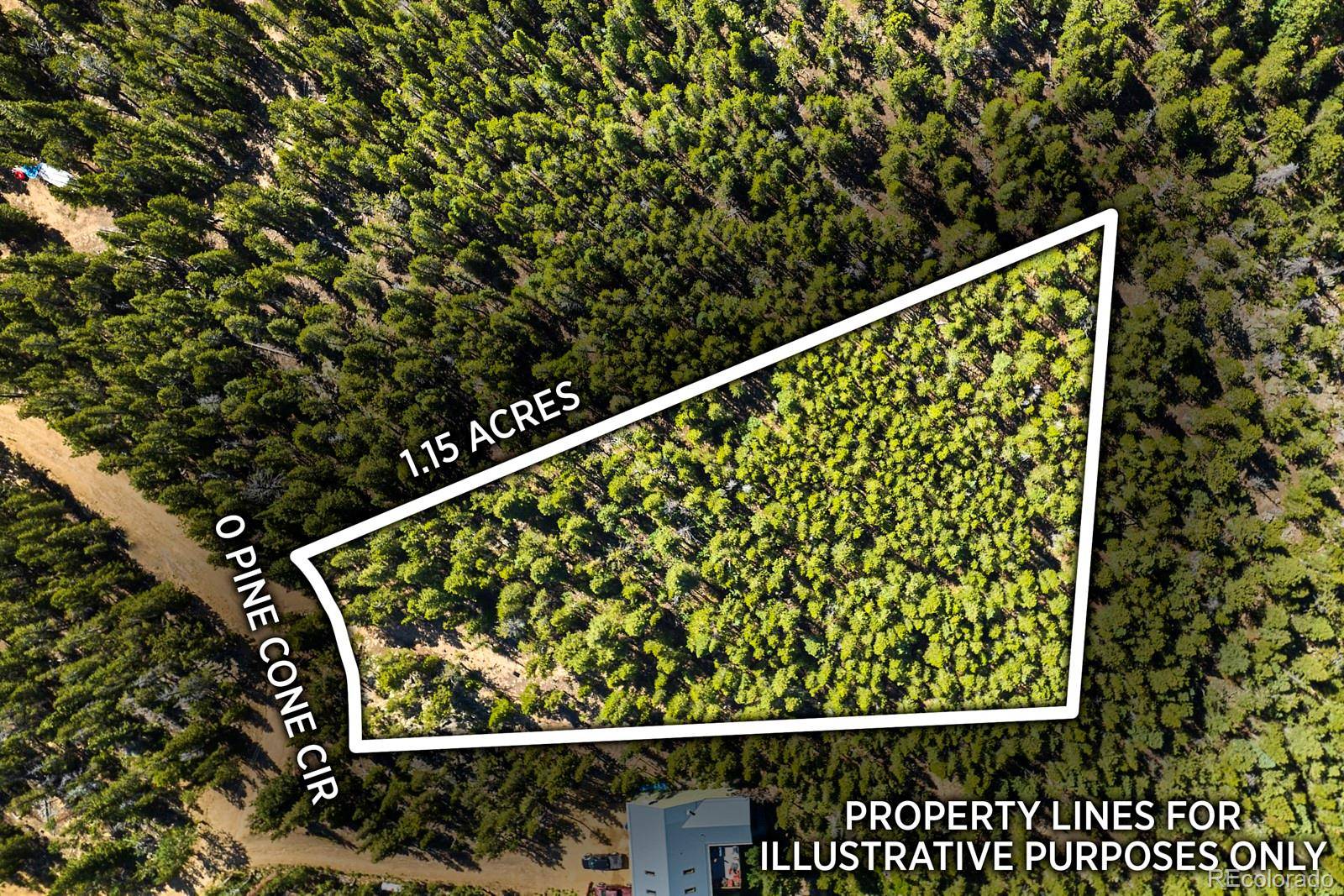 Ward, CO 80401,0 Pine Cone CIR