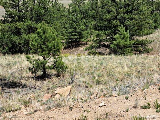 Hartsel, CO 80449,550 Woroka TRL