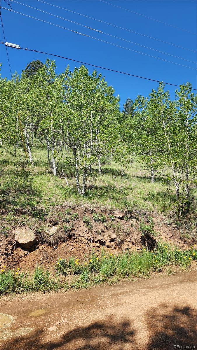 Bailey, CO 80421,267 Ward ST