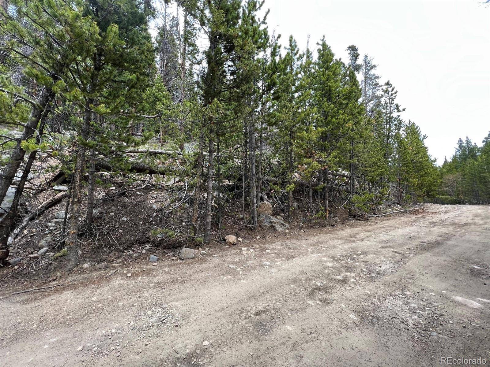 Idaho Springs, CO 80452,000 Steuart RD