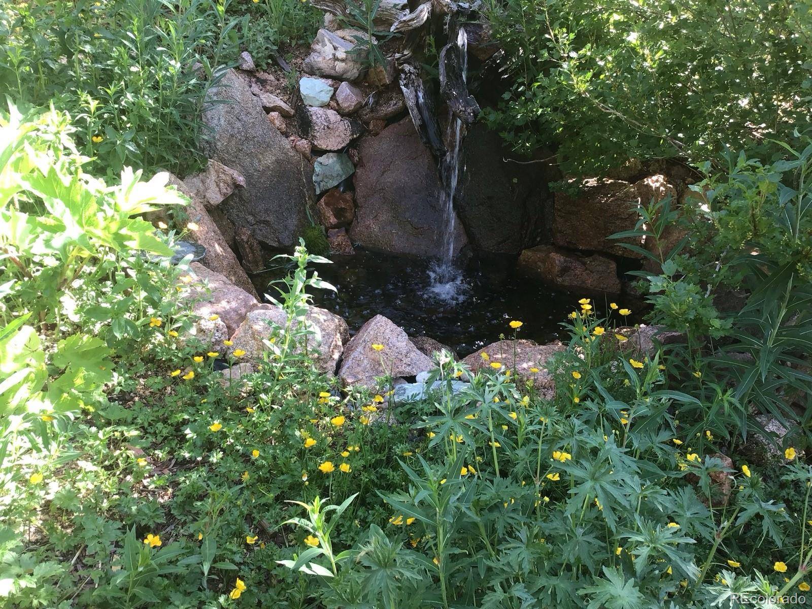 Evergreen, CO 80439,33121 Lynx LN