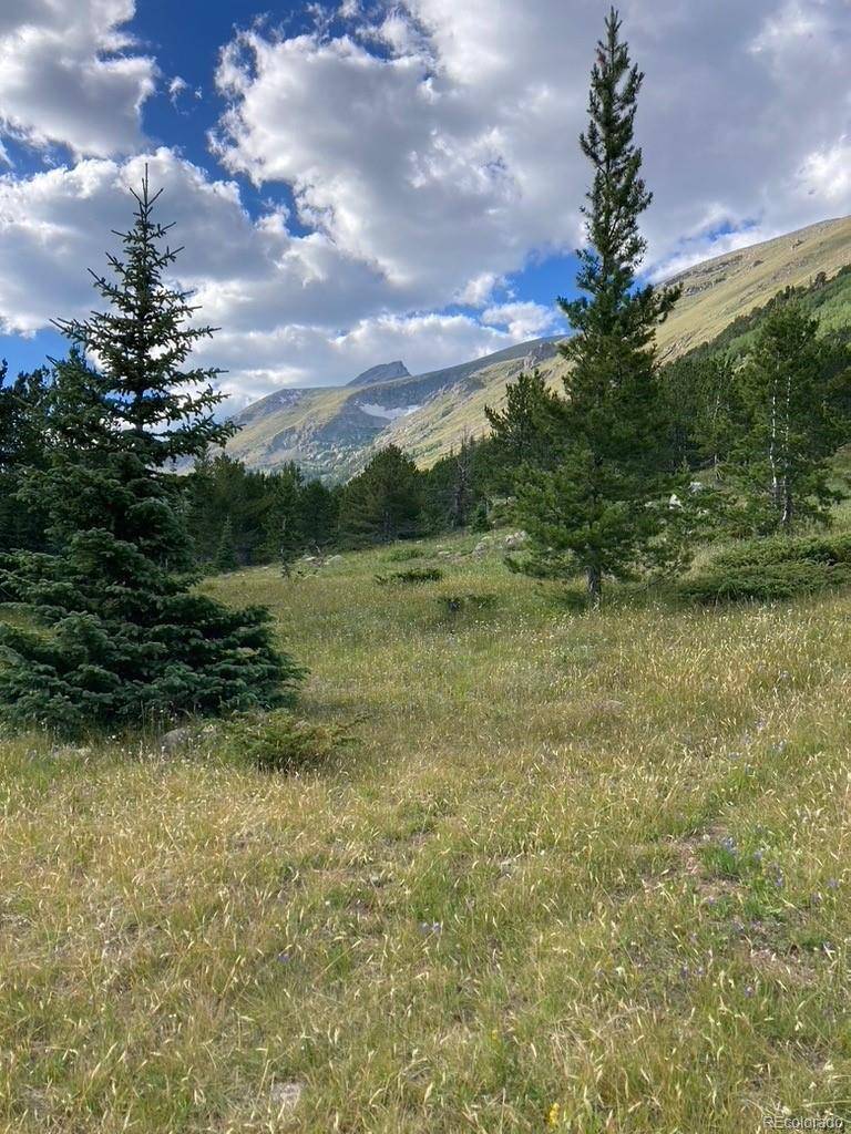 Nederland, CO 80466,4400 4th Of July Road