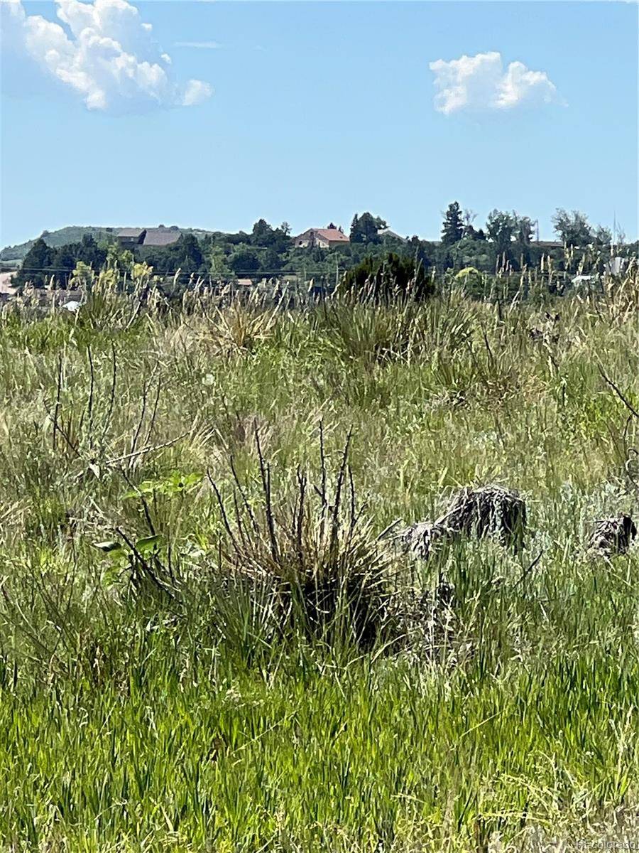 Colorado City, CO 81019,lot 99 Shavano DR