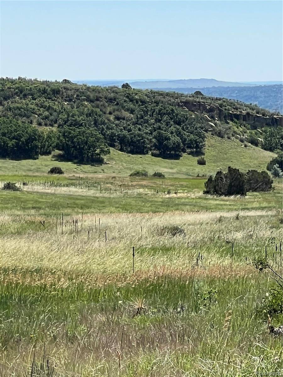 Colorado City, CO 81019,lot 99 Shavano DR