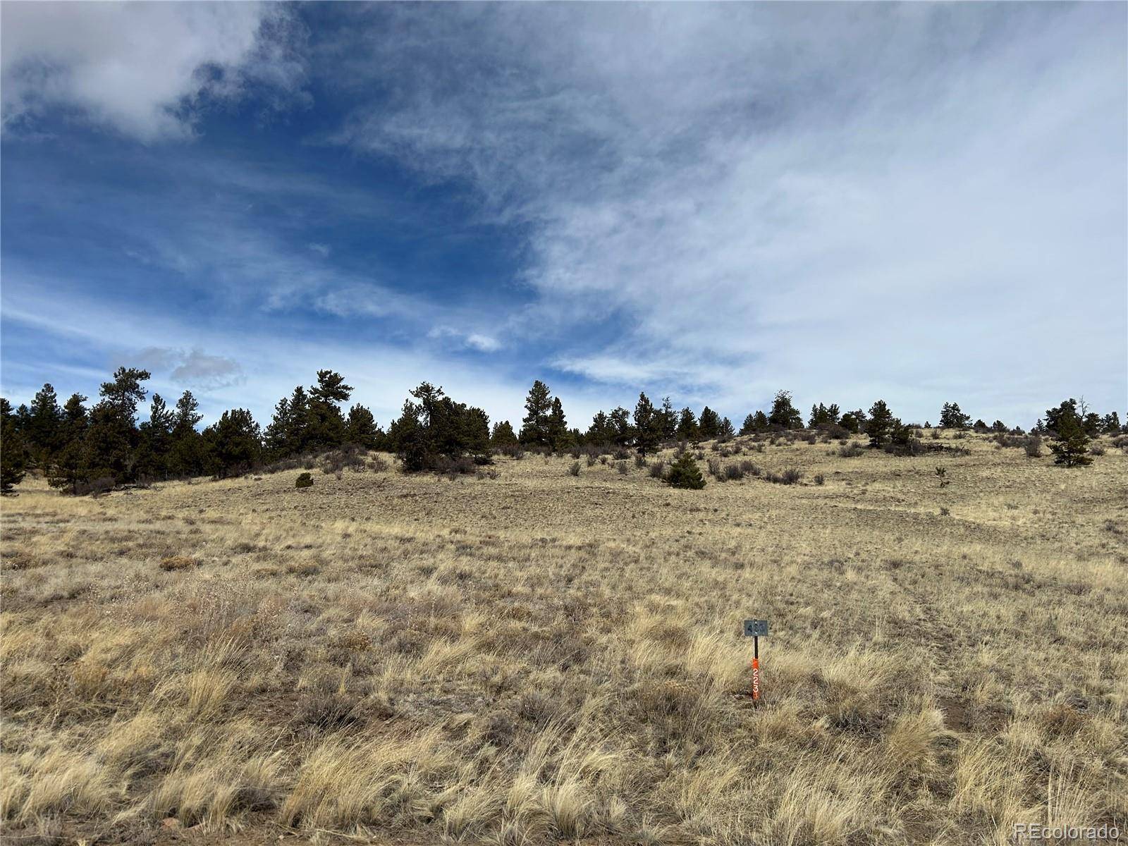 Hartsel, CO 80449,64 Bandana RD