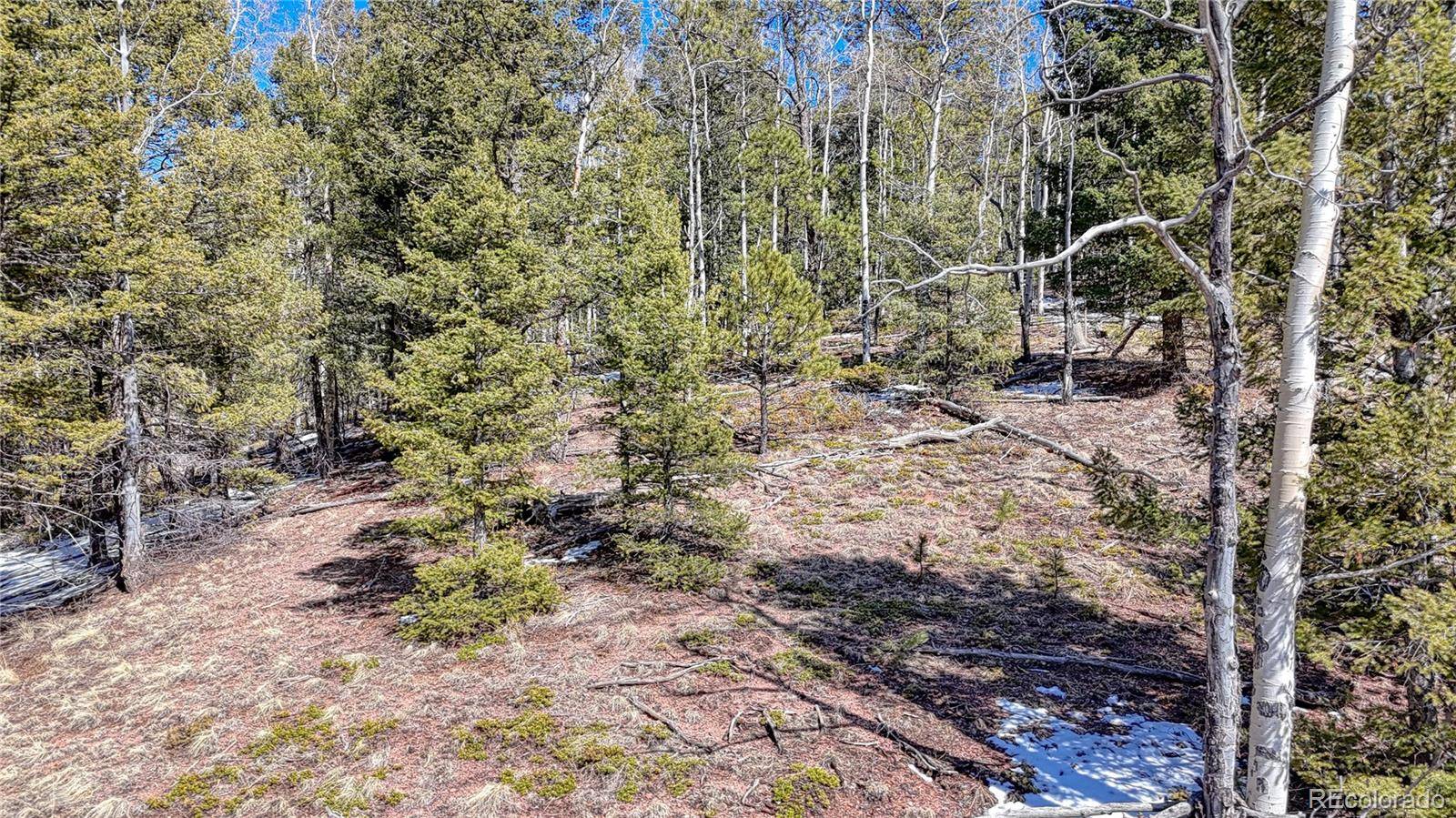 Cripple Creek, CO 80813,542 Vivenda RD