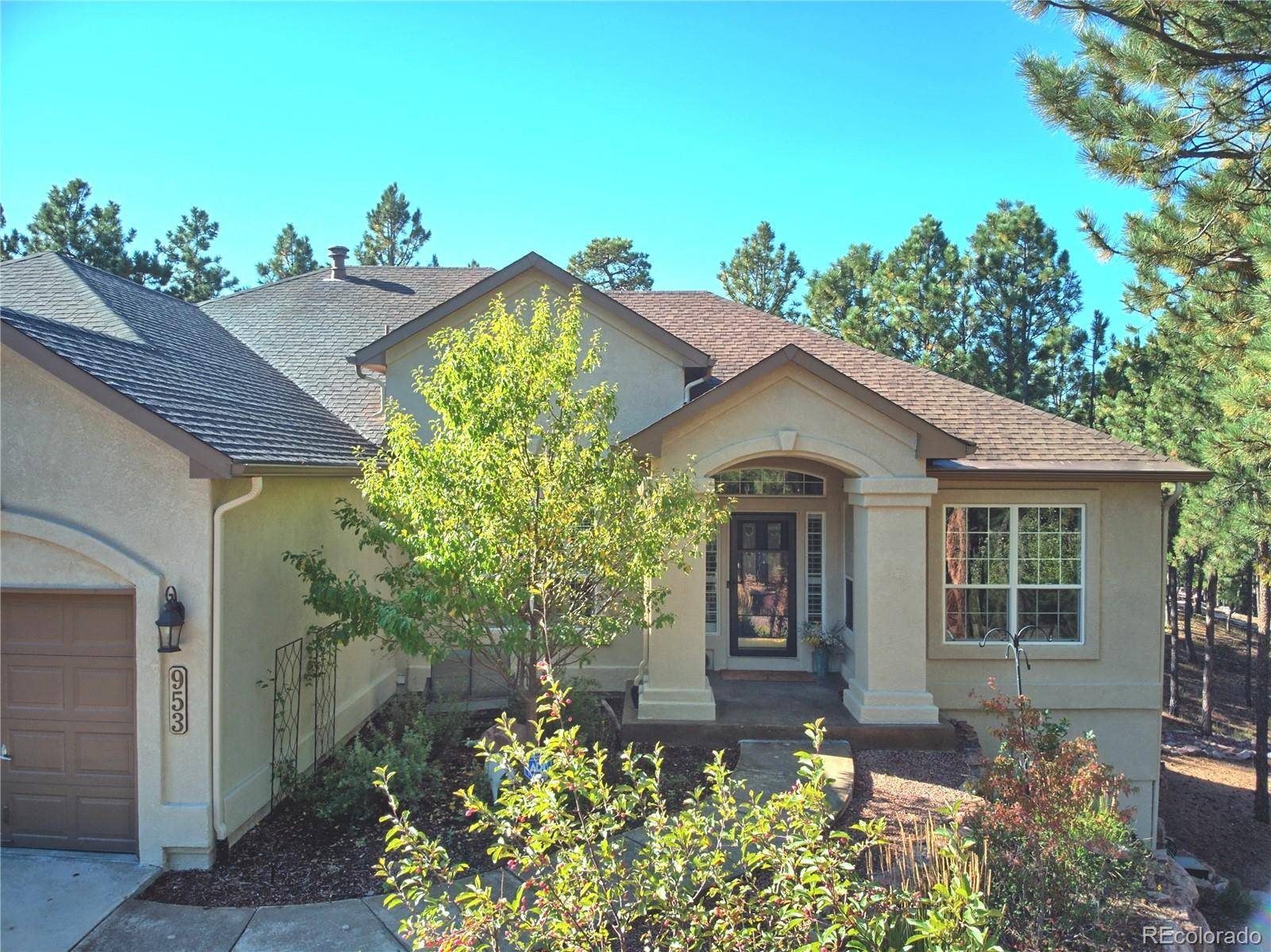 Colorado Springs, CO 80921,953 Pinenut CT