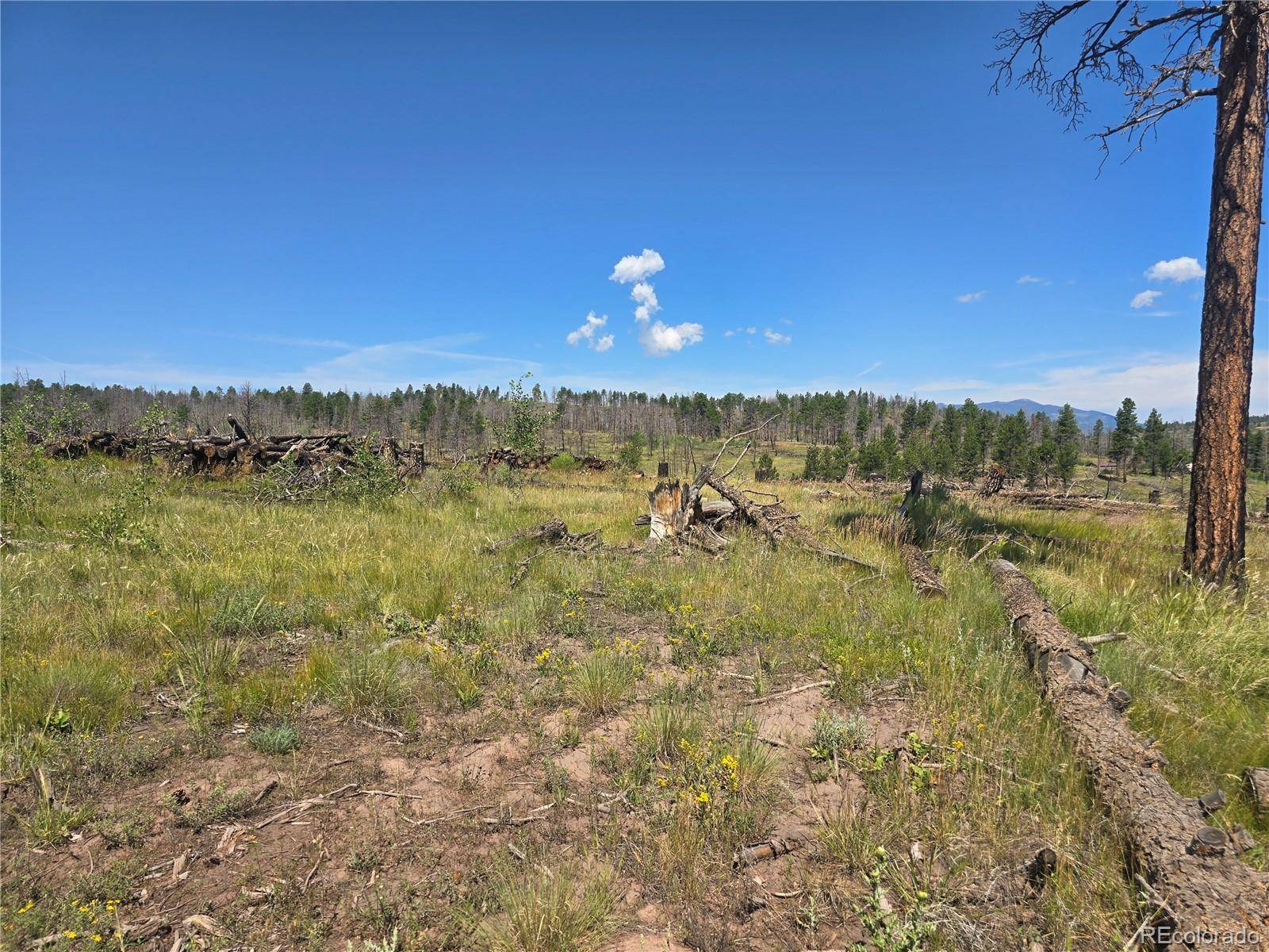 Fort Garland, CO 81133,695 Cogbill DR