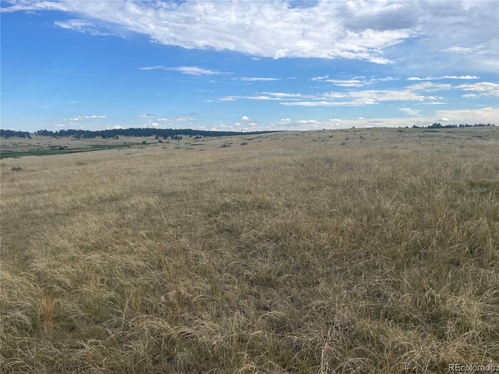 Kiowa, CO 80117,0 Wendling Lot 60 TRL