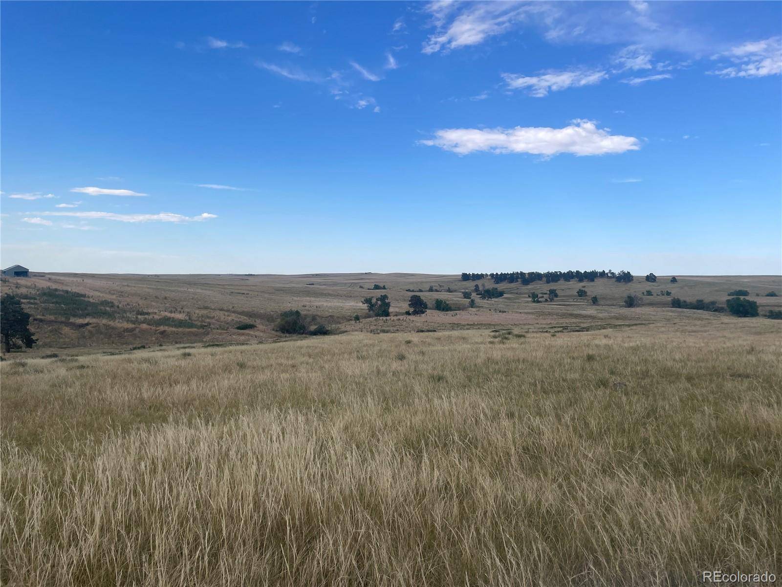 Kiowa, CO 80117,0 Wendling Lot 60 TRL