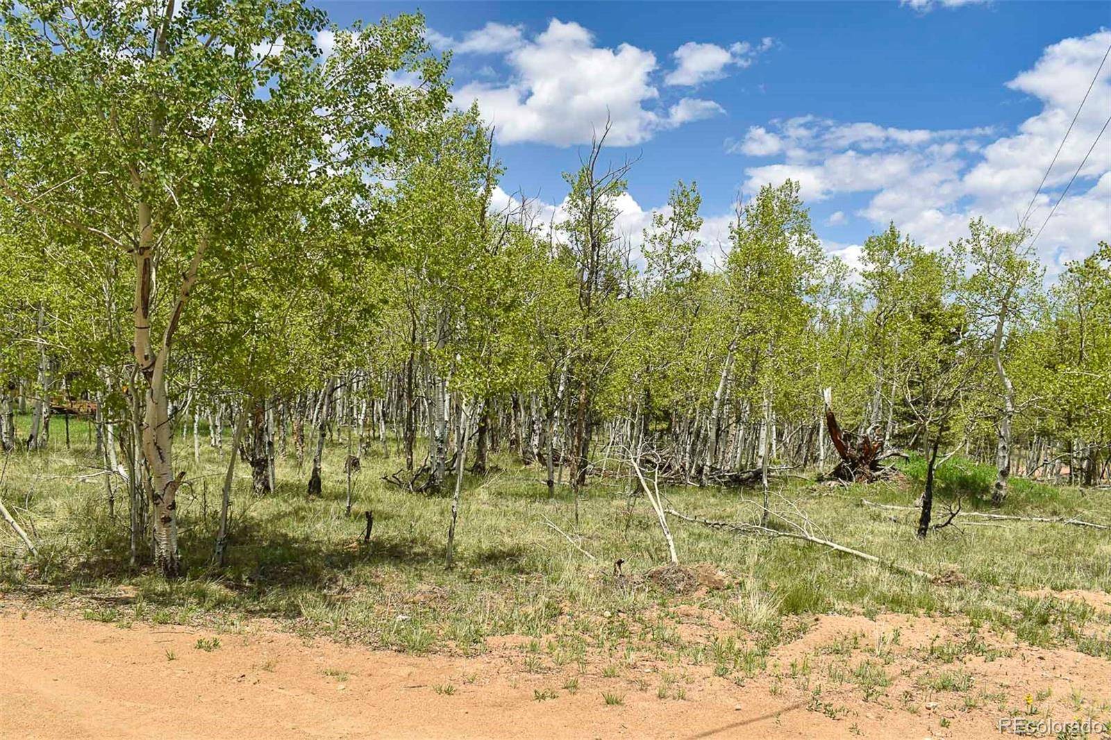 Guffey, CO 80820,55 Aspen Way DR