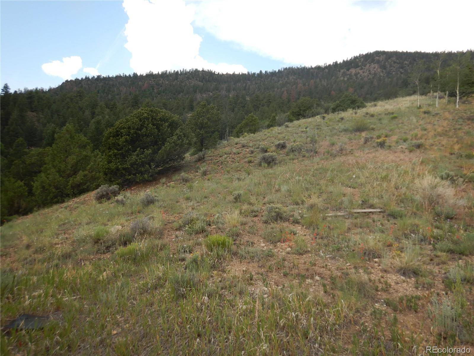 South Fork, CO 81154,120 Fairway Ridge LN