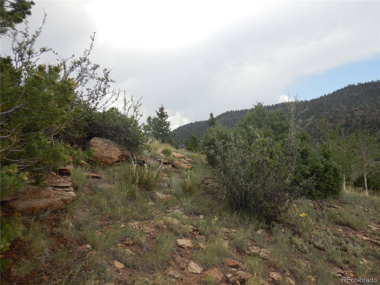 South Fork, CO 81154,120 Fairway Ridge LN