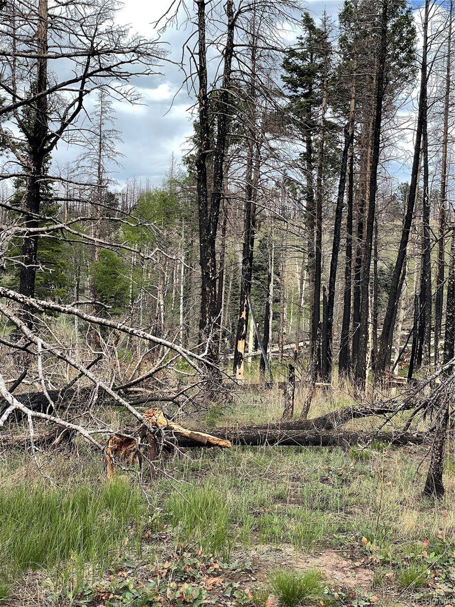 Fort Garland, CO 81133,986 Levy PL