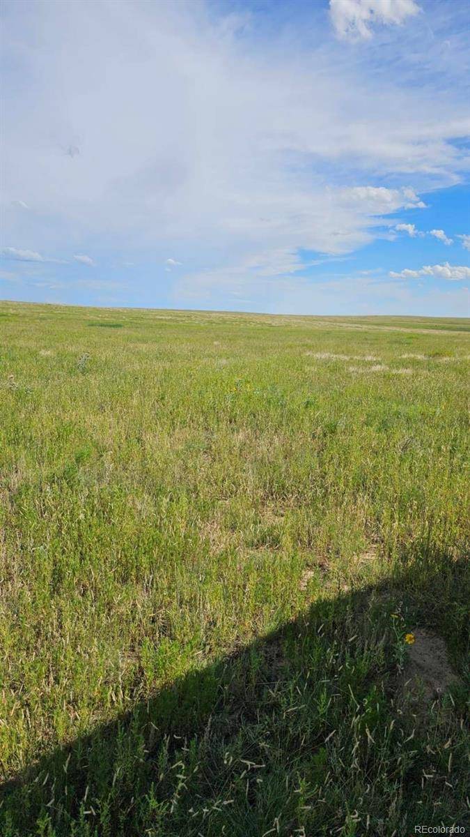 Yoder, CO 80864,37855 Shear RD