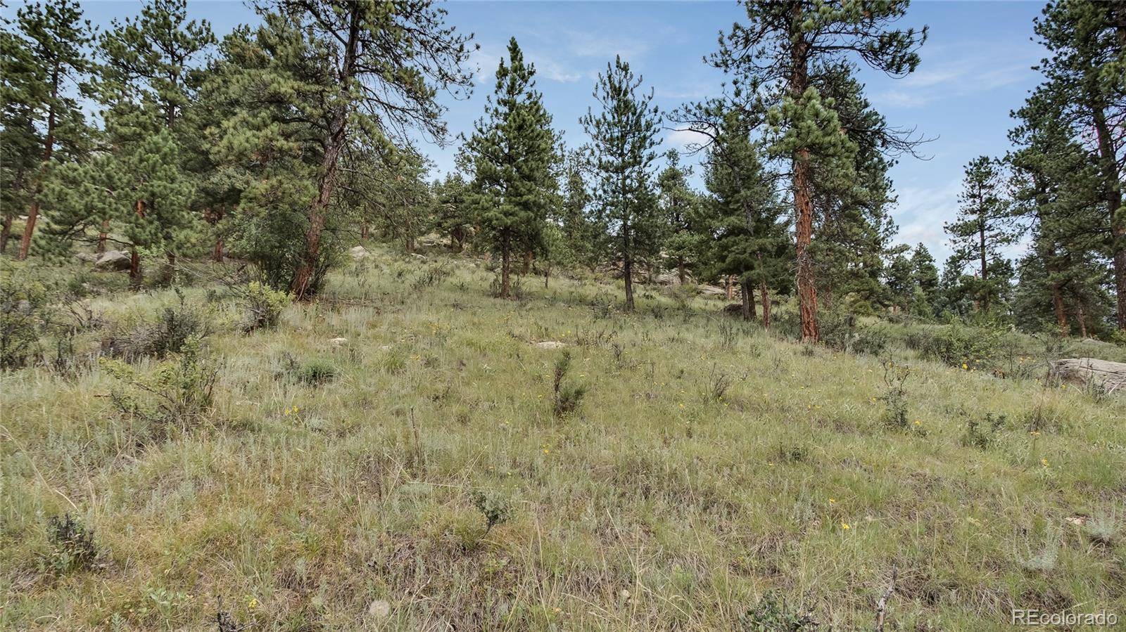 Evergreen, CO 80439,193 Mary Beth RD