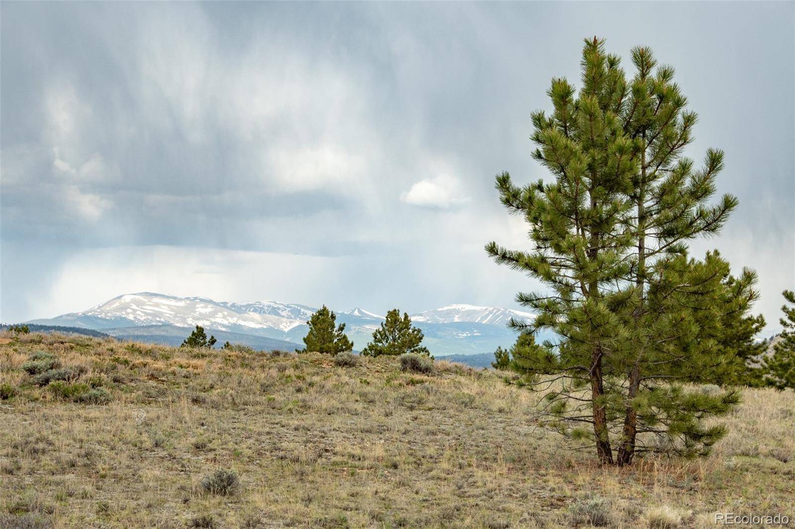 Hartsel, CO 80449,244 Lariat LOOP