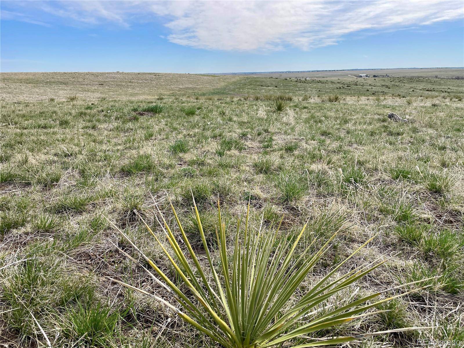 Kiowa, CO 80117,15755 CR 166