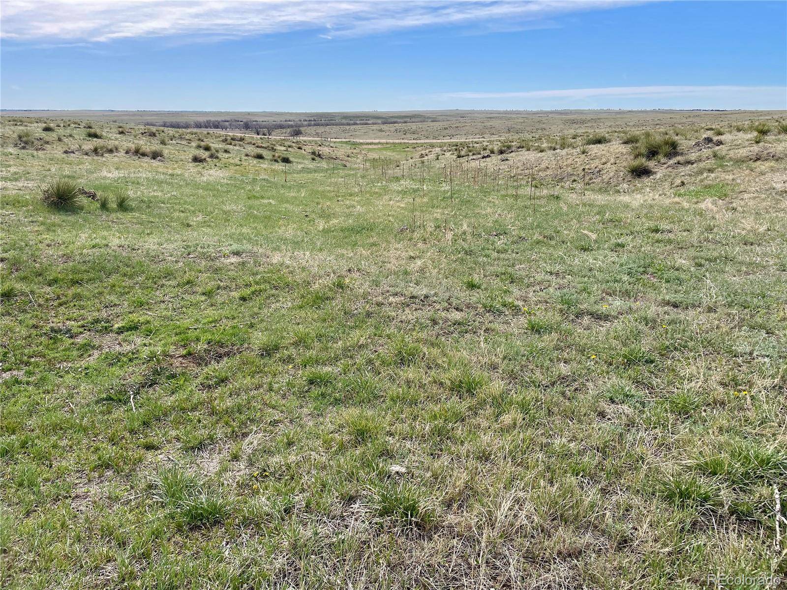 Kiowa, CO 80117,15755 CR 166