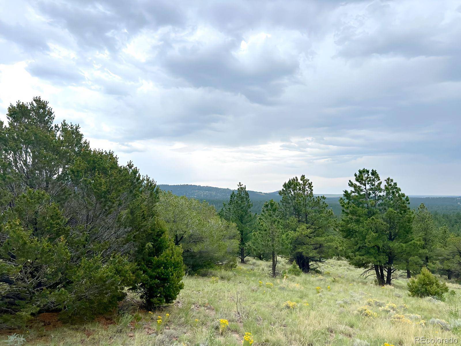 Westcliffe, CO 81252,47 Bittersweet LN