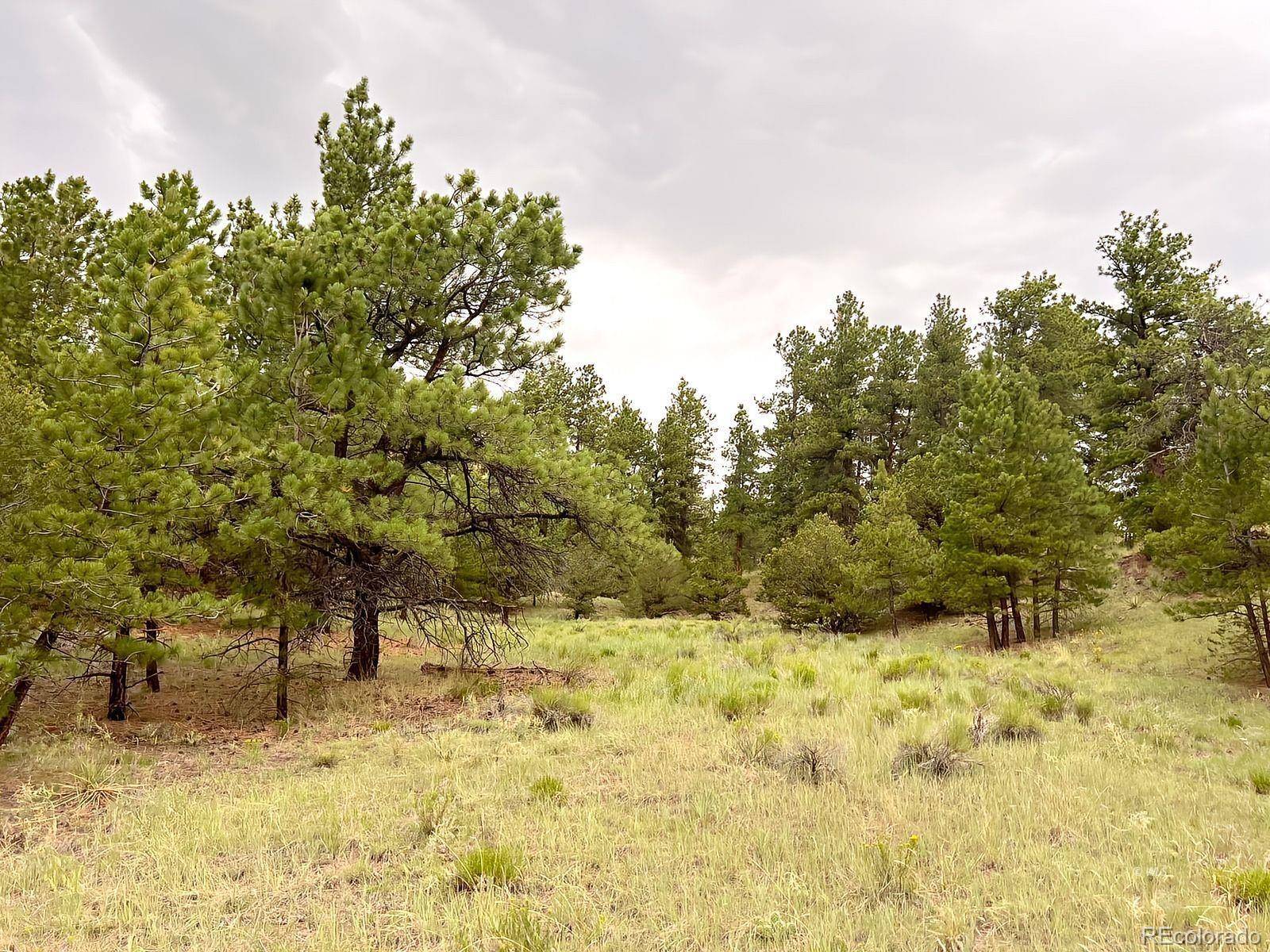 Westcliffe, CO 81252,47 Bittersweet LN