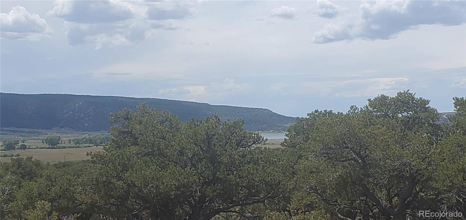 Fort Garland, CO 81133,Lot3696 Branch Road