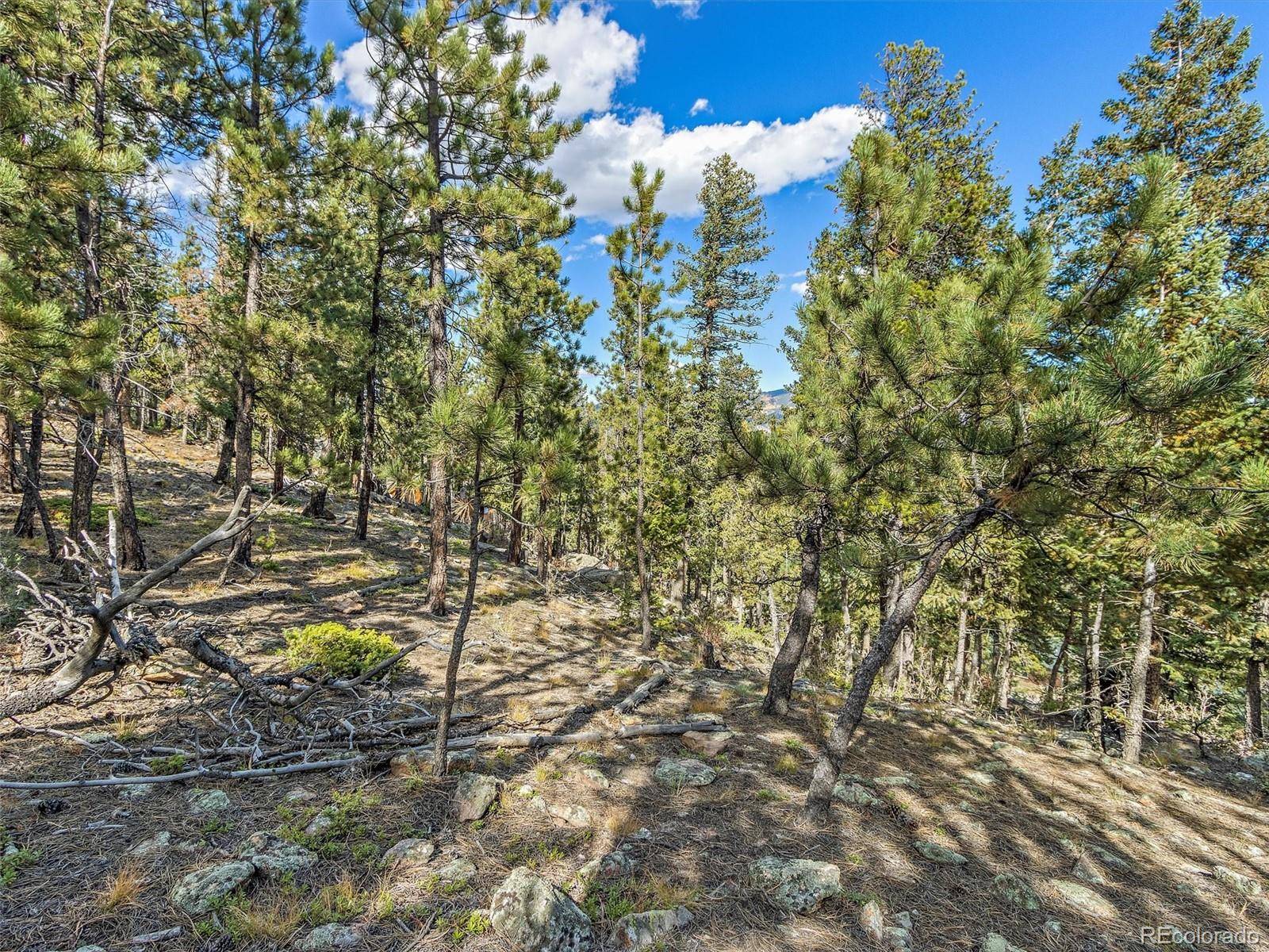 Evergreen, CO 80439,0 Sawmill Creek RD