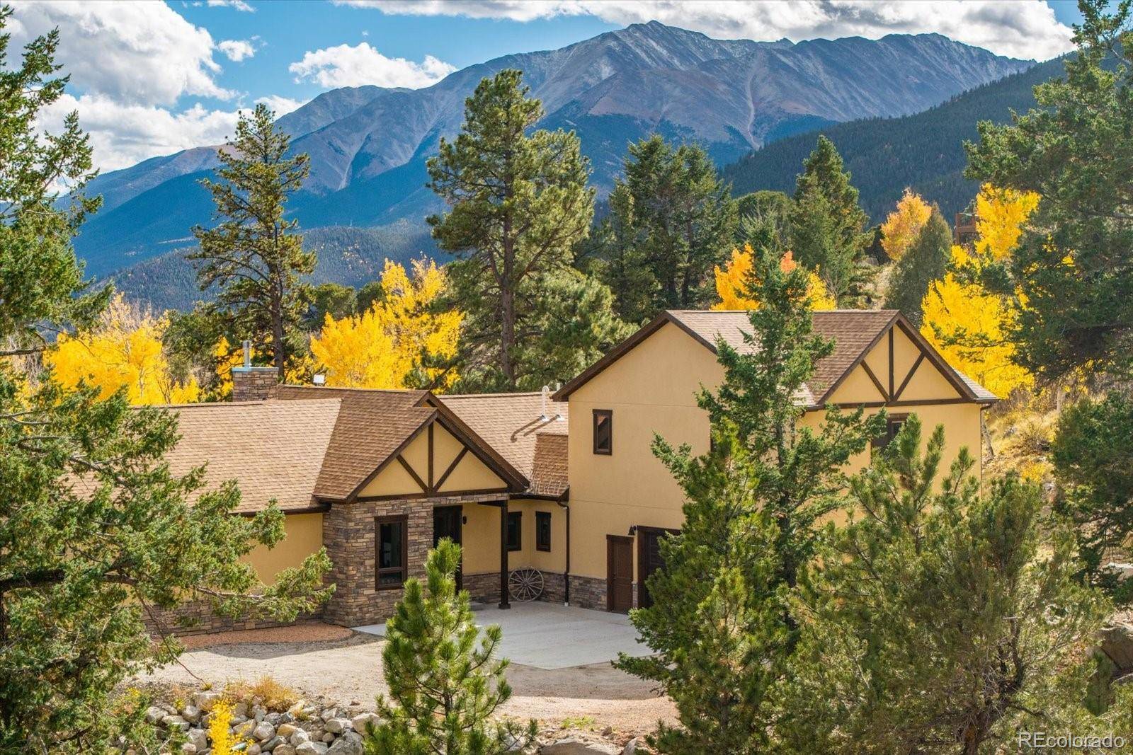 Buena Vista, CO 81211,30009 Creek RUN
