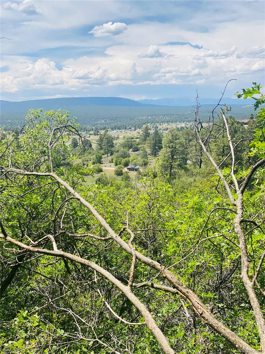 Pagosa Springs, CO 81147,251 Rifle PL