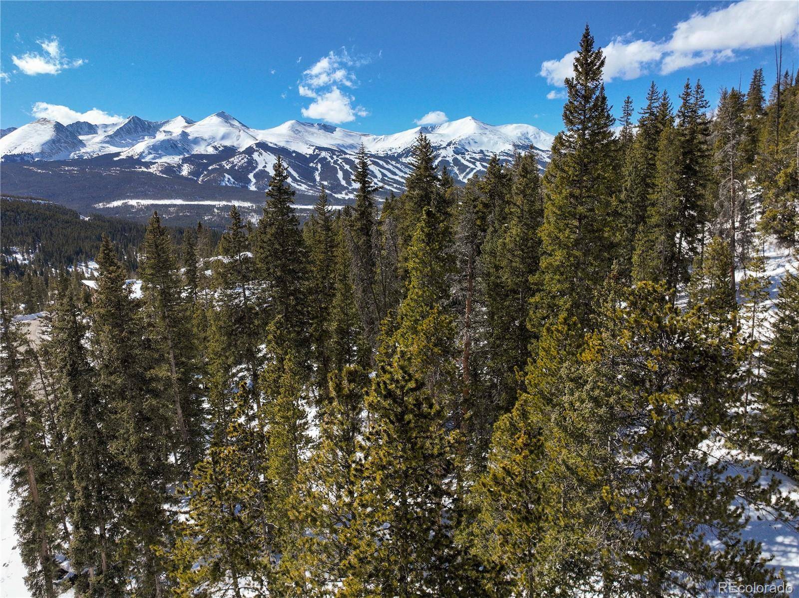 Breckenridge, CO 80424,217 Goldenview DR