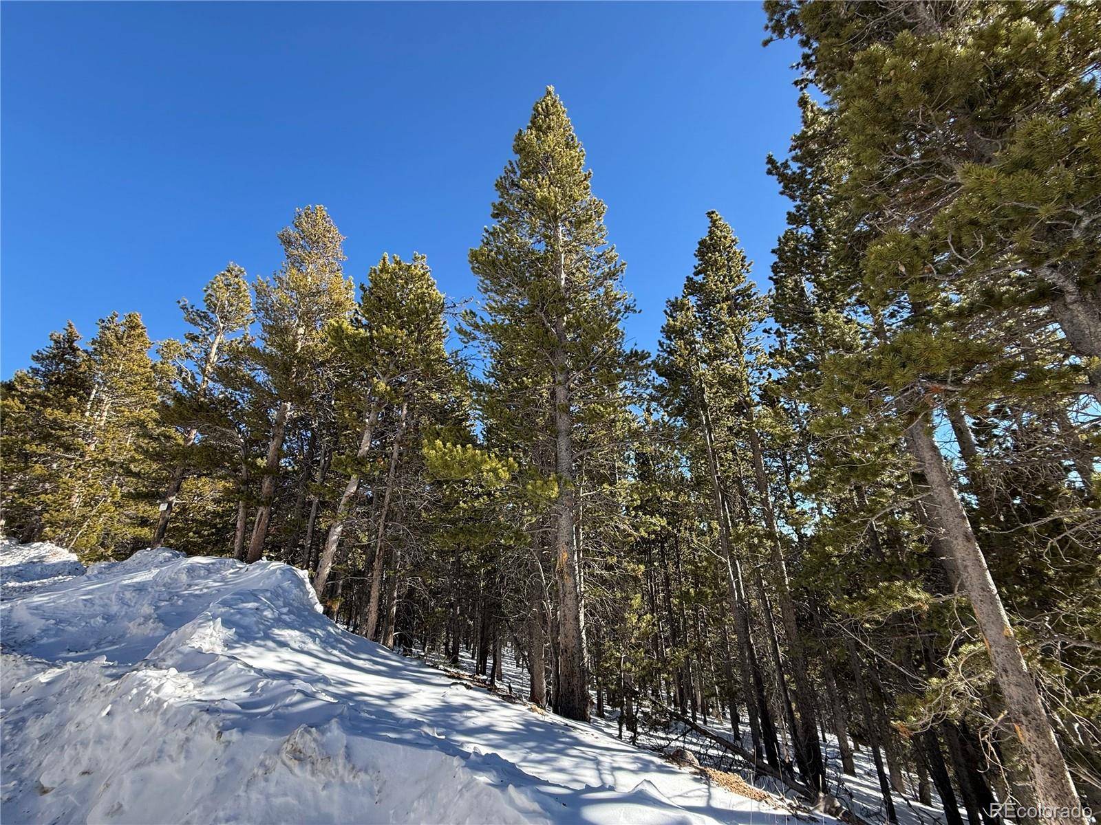 Idaho Springs, CO 80452,Lot 846 Lincoln DR