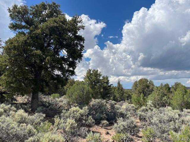 San Luis, CO 81152,Lot 15 Deer Park TRL
