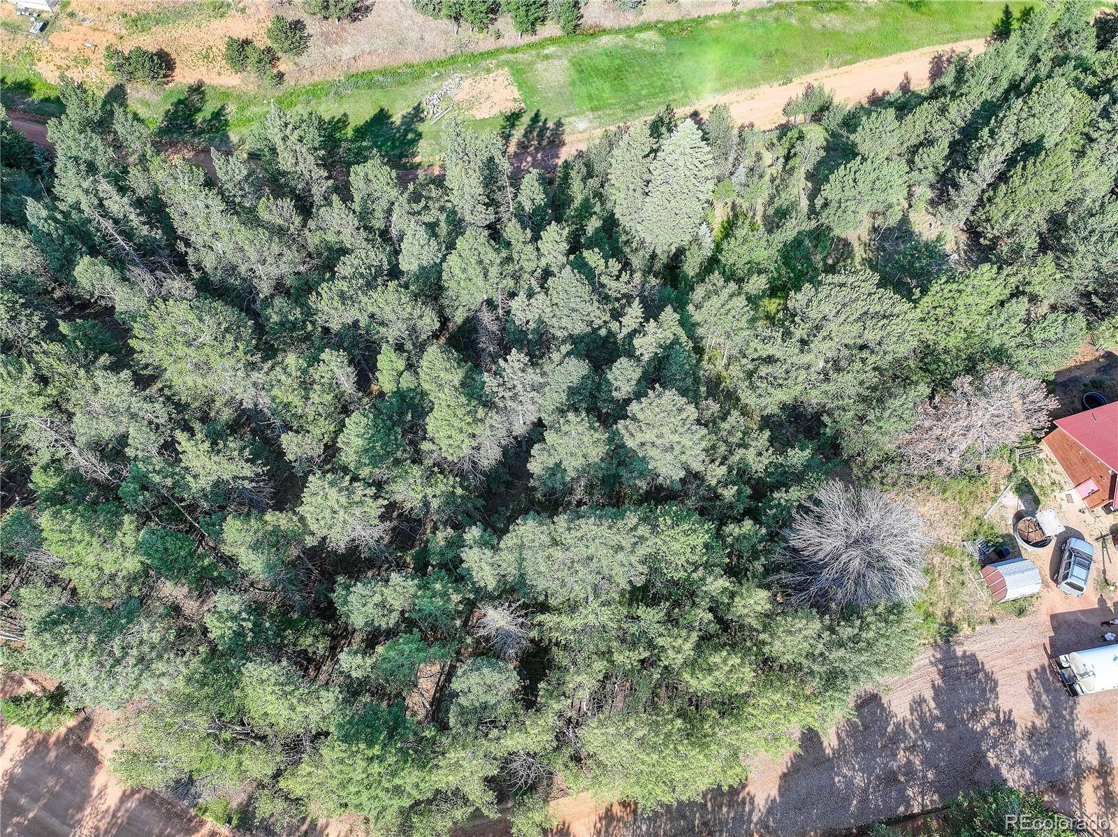 Divide, CO 80814,490 Willow RD