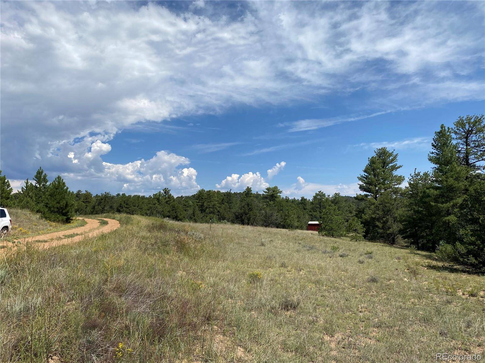 Cotopaxi, CO 81223,236 Marion LN