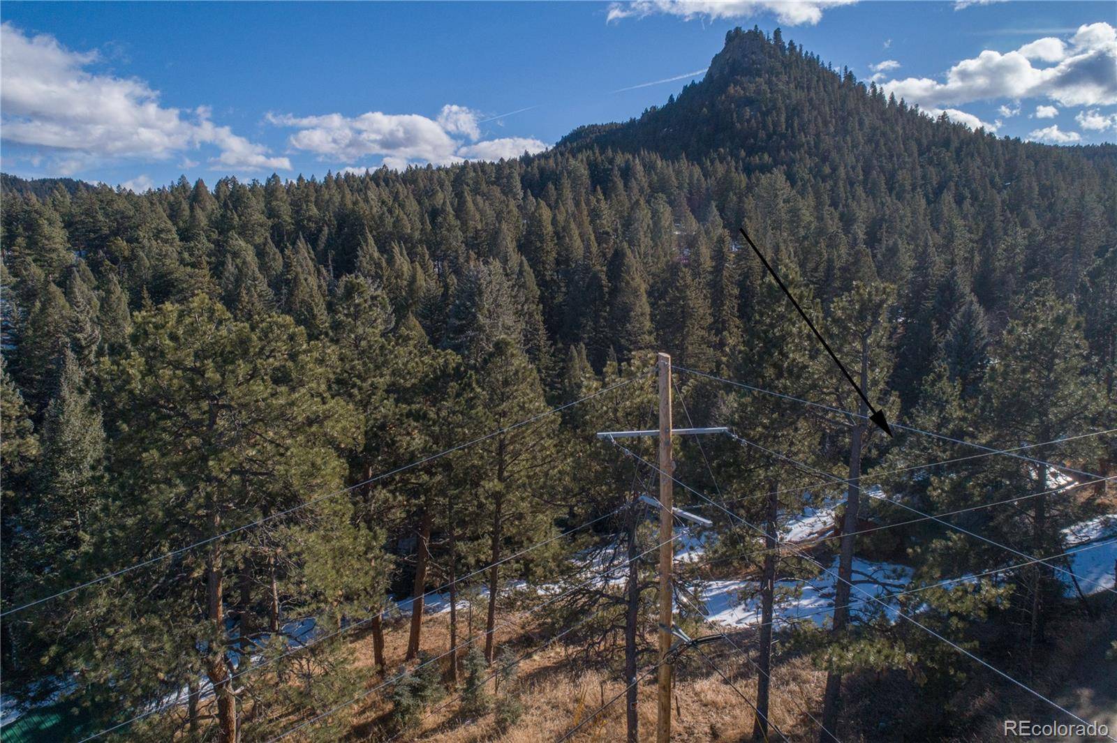 Evergreen, CO 80439,5925 Herzman DR
