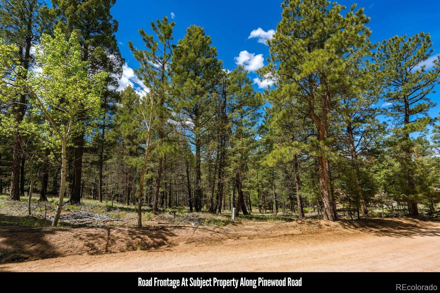 Florissant, CO 80816,1093 Pinewood RD