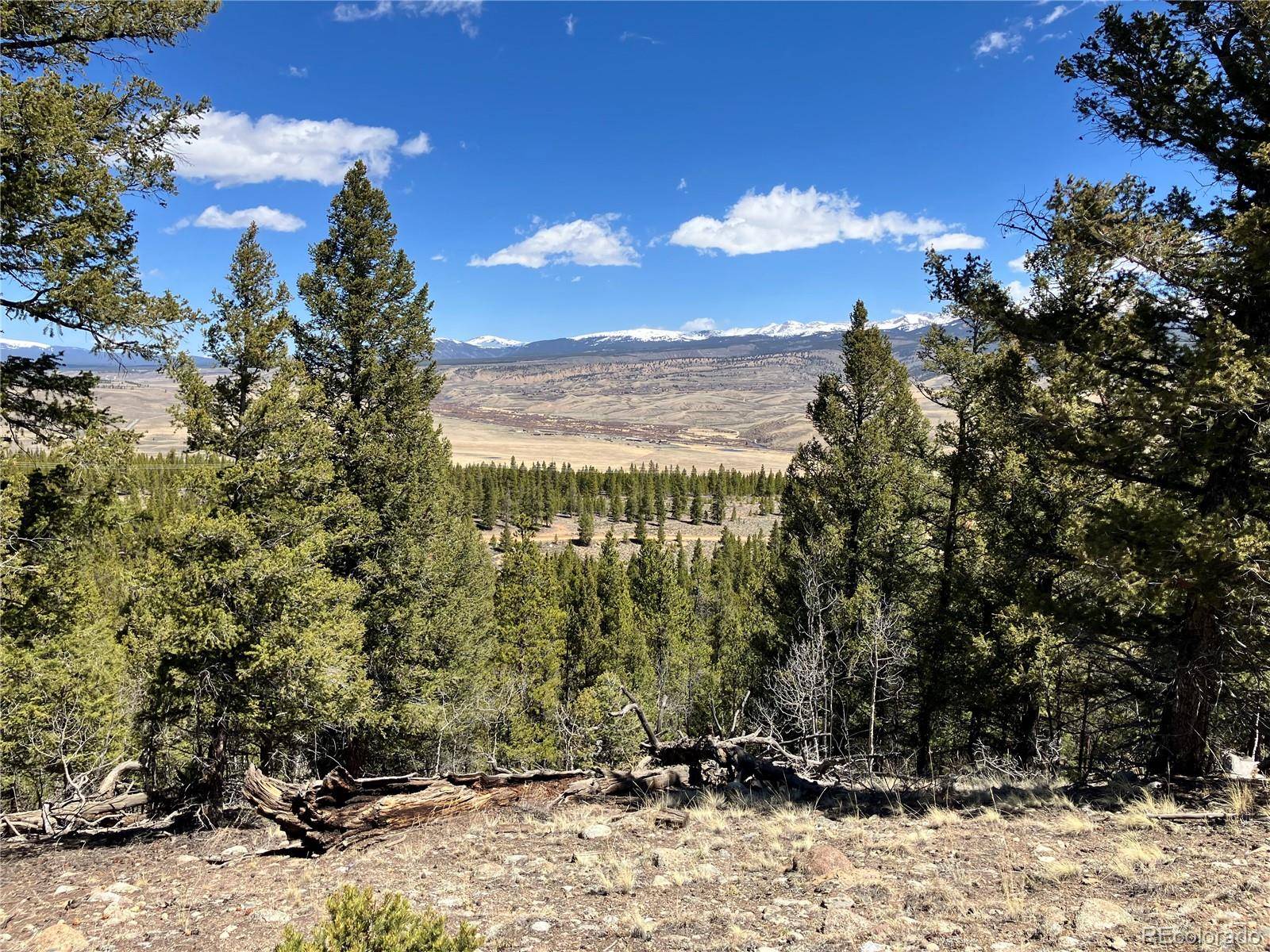 Twin Lakes, CO 81251,274 Mt Elbert RD