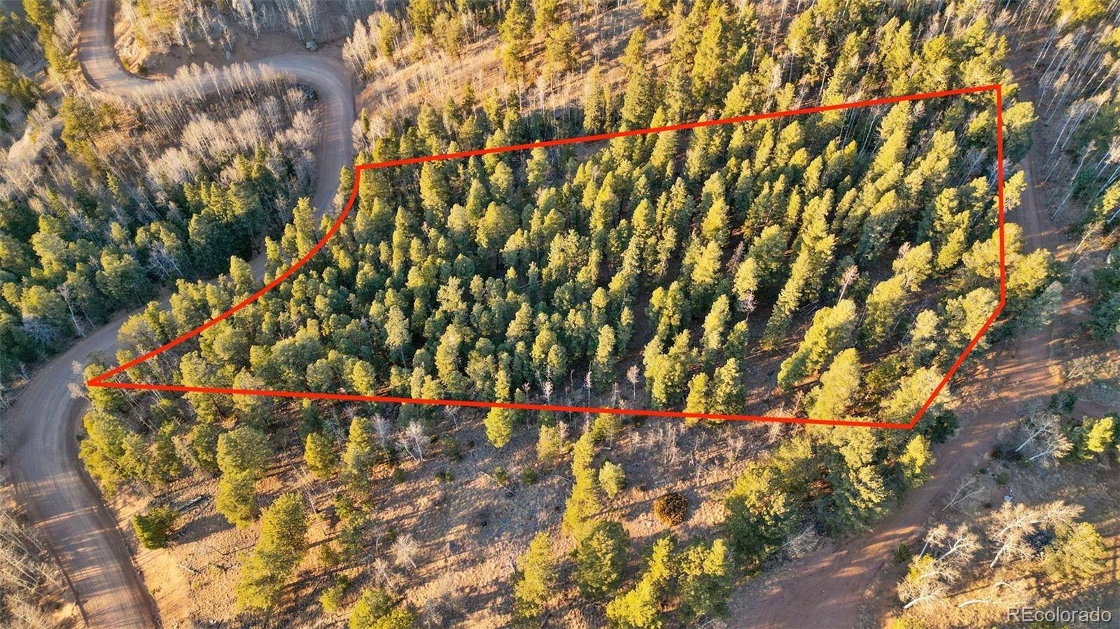 Cripple Creek, CO 80813,1289 Yorktown RD